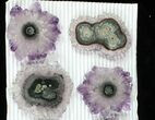 Lot: to Amethyst Stalactite Slices ( Pieces) #77694-1